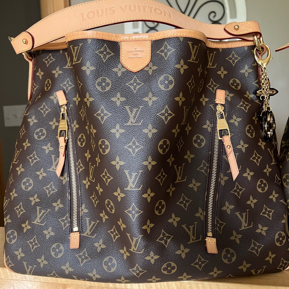 Louis Vuitton Delightful GM! Rare and discontinued model!